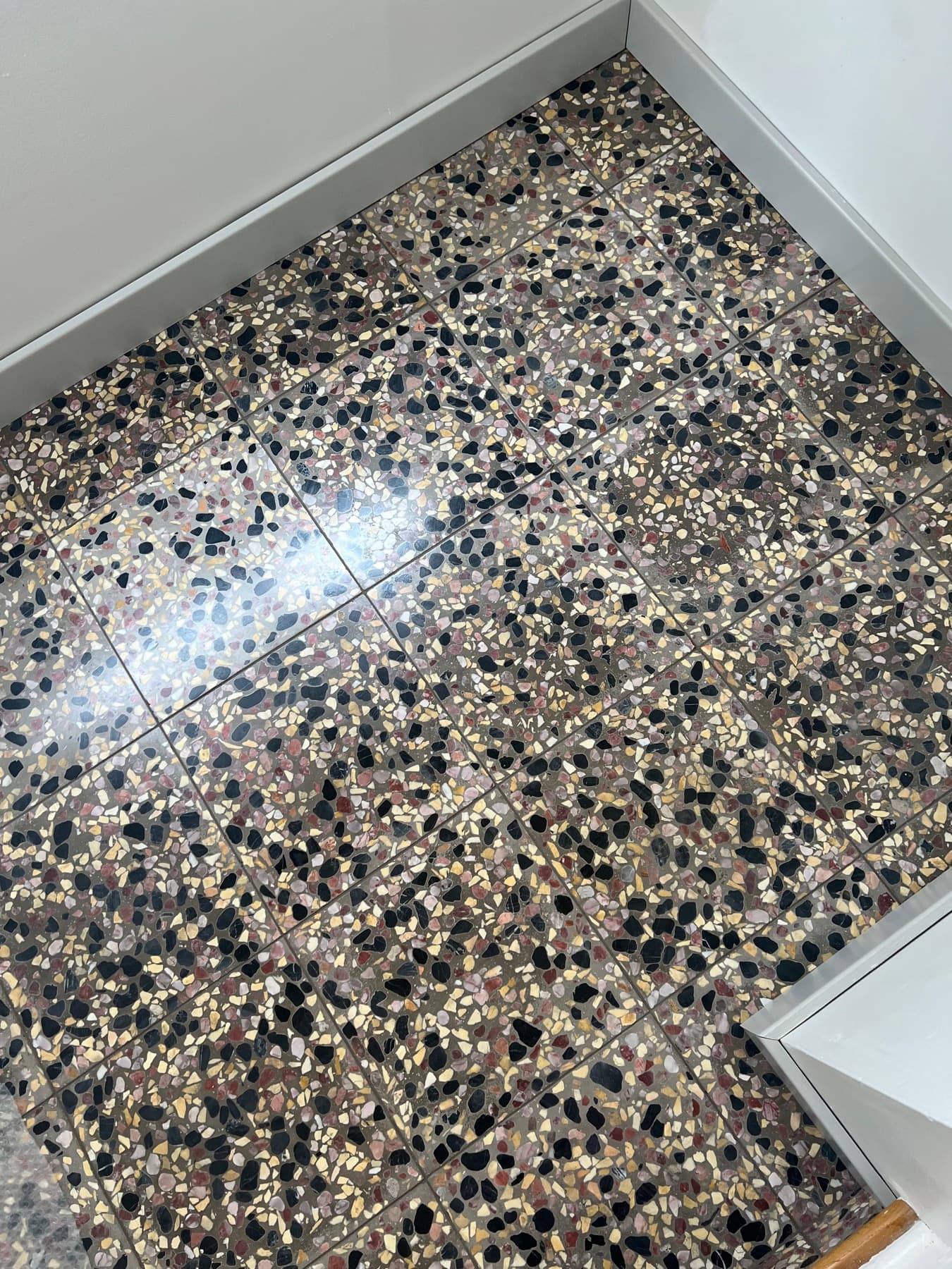 The 12×12 handmade terrazzo in the entry, sealed to a wet look that brings up the black, cream and mauve aggregate.