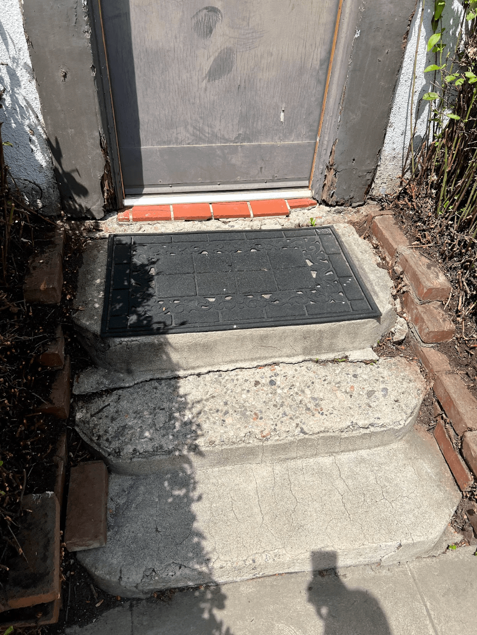 The side entry before work began: cracked, crumbling concrete steps, a weathered unpainted door and broken brick edging